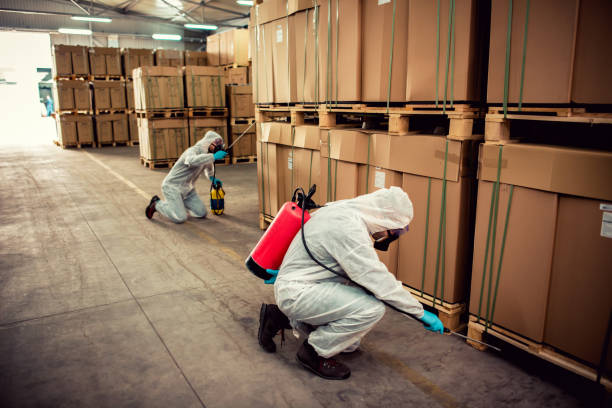 Best Local Pest Control Services  in Bell, CA