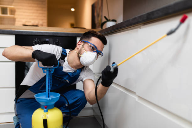 Best Pest Control Near Me in Bell, CA