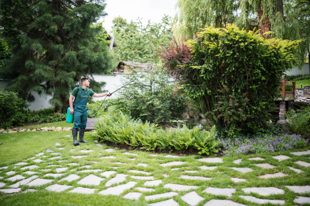Best Ant Control Services  in Bell, CA