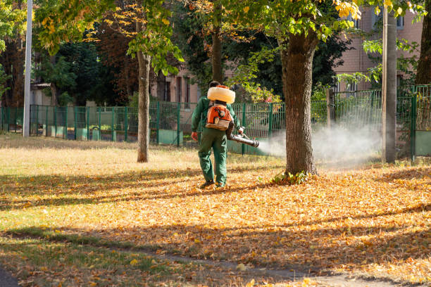 Best Bed Bug Extermination  in Bell, CA