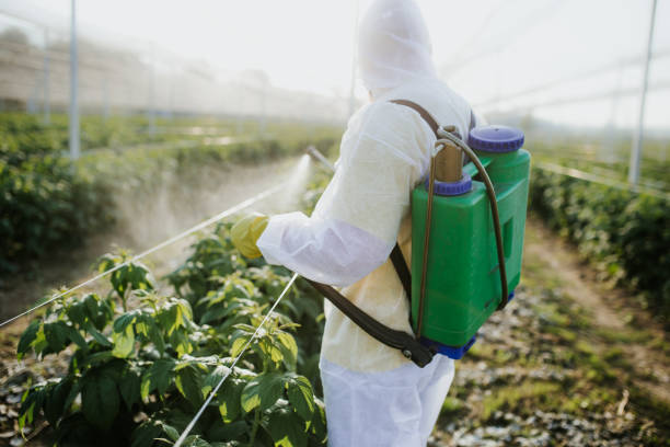 Best Pest Prevention Services  in Bell, CA